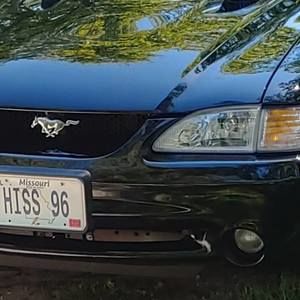 Meet your Posher, Gary